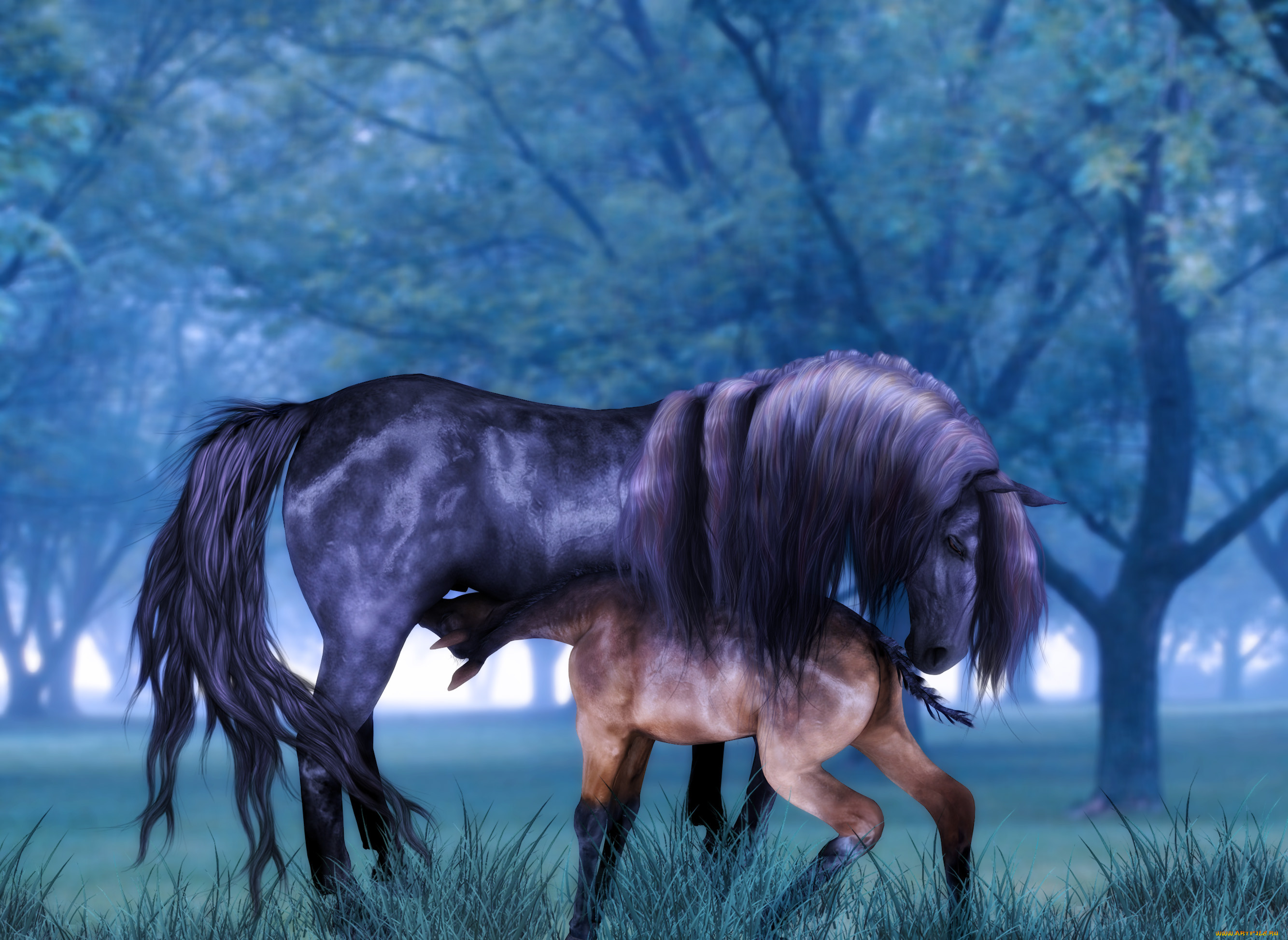 Лошадки лошадки л. Лошадки. Животные на природе 3д. Фото 3д лошадей. Лошадь лошадь черешня женщина.
